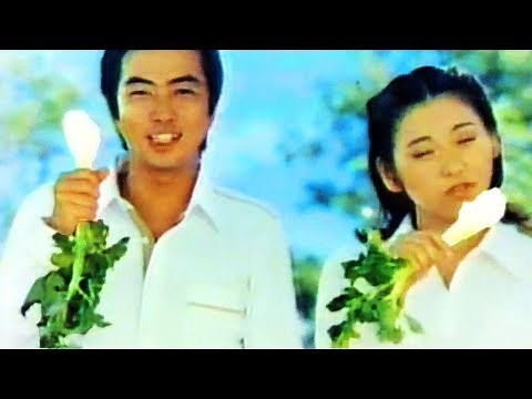 【なつかCM】ガードハロー（大和田 獏）花王