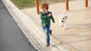 Peeps poke fun at little boy running away from small dog in fear in viral video