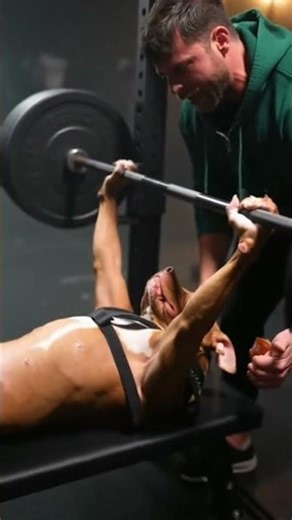 Dog Pushes Limits at the Gym 🐶💪 | Epic Motivation!