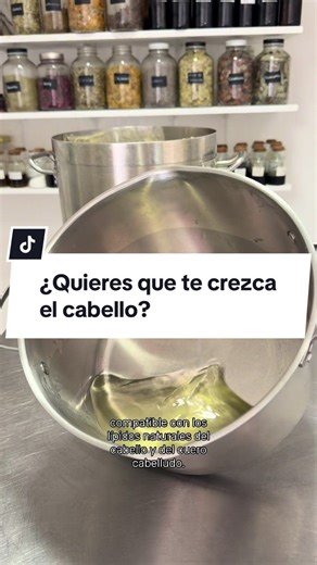 de ingredientes que aparecen en las etiquetas de champús y conviene evitar Sulfatos agresivos (dañan el cuero cabelludo y la vida acuática) Sodium Lauryl Sulfate (SLS) Sodium Laureth Sulfate (SLES) Ammonium Lauryl Sulfate Ammonium Laureth Sulfate Conservantes problemáticos Phenoxyethanol Parabens (Methylparaben, Ethylparaben, Propylparaben, Butylparaben) Benzyl Alcohol Chlorphenesin Liberadores de formaldehído (carcinógeno reconocido) Formaldehyde DMDM Hydantoin Imidazolidinyl Urea Diazolidinyl 