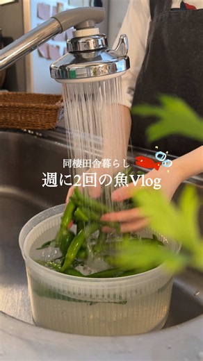 【週に2回の魚🎣】美味しいカツオの食べ方 前に、教えてもらったカツオの食べ方で 塩とおろしニンニク…!!!とごま油。 めちゃめちゃ美味しくて感動したよ（ ; ; ）♡ 教えてくださった方ありがとう！！ ウイスキーが進みました🥃 高知の美味しいカツオが食べたいな〜〜 #同棲ごはん #魚料理 #お刺身 #カツオ