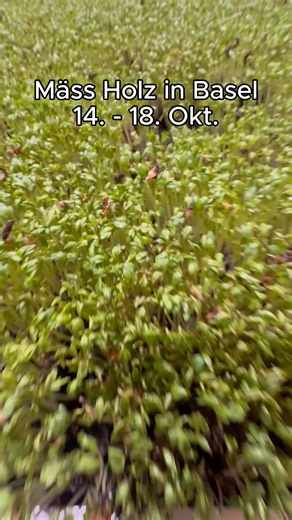 🏠 Minihäuser, grosse Träume! ✨ An der Messe Holz zeigen Lernende Zimmerleute ihre Modelle aus Holz – richtig beeindruckend, was da alles möglich ist! 😍 Vom Dachstuhl bis zum ganzen Häuschen: Alles aus Holz, alles mit viel Herz fürs Handwerk. 🌲🪚 Diese Ausstellungsstücke der jungen Talente zeigen, was im Holzbau steckt – Kreativität, Präzision und pure Leidenschaft! 💪 Besuche uns vom 14. bis 18. Oktober an der Messe Holz in Basel. Halle 1.1, Stand Z43. Wär das auch was für dich? 👷‍♀️🔥 #Zimm