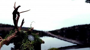 4.4K views · 312 reactions | Since appearing as the first metal-cased...