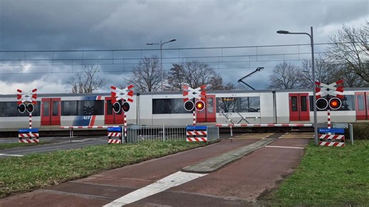 Discover Dutch Trains at Rotterdam Railway Crossing