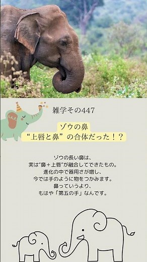 【ためになるかもしれない雑学】#雑学 #豆知識 #トリビア #日常 #ライフハック #プチ知識 #知識 #ためになる雑学 # 役に立つ雑学