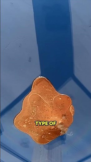 Can This Glass Withstand Lava?