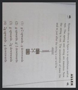 System shown in figure is in equilibrium and at rest. The sprin... | Filo