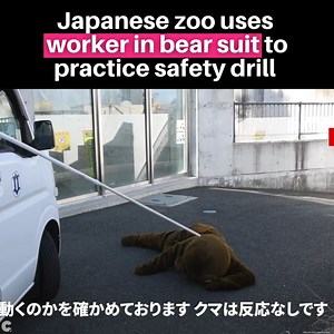 8.4K views · 22 reactions | This is too much to bear. A Japanese...