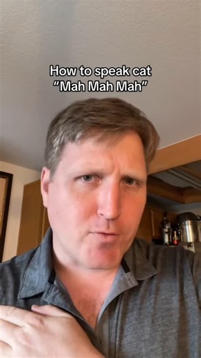 Alec Newman on Instagram: "How to speak cat speed run. Here are four ways to speak cat. Let me know which work on yours. #catstagram #catsofinstagram #howtospeakcat"