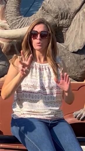 ASL Sentence Practice with Lindsay Type what Lindsay is signing in the comments and your answer. If you would sign this differently, we are most interested in that too! 😍@hislittlehandsofmine@hislittlelightofmine #SignLanguage #ASLPractice #DeafHeartbeat #learnasl | Deaf Heartbeat Inc