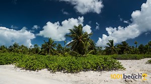 伦敦 海滩 (London beach)