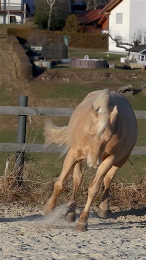 Real Cases from Spear Faculty | Spear Education