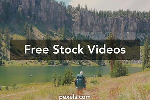 Forest Tour Videos, Download The BEST Free 4k Stock Video Footage & Forest Tour HD Video Clips
