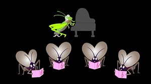 Autumn Insects Singing Songs Playing Musical Stock Footage Video (100% Royalty-free) 1057502644 | Shutterstock