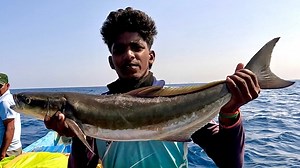 We Caught Cobia Fish & Snowy Grouper in the Sea | Neerulagam