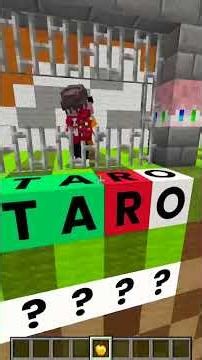 Acerte o Termo 06! #minecraft