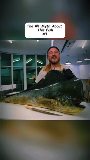 #reedthefishmonger #fishmonger #howtofilletfish #howtocleanfish #reethefishmonger
