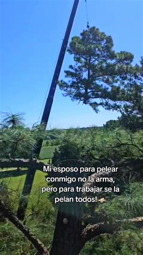 #arborist #climber #climbingarborist #elmejor