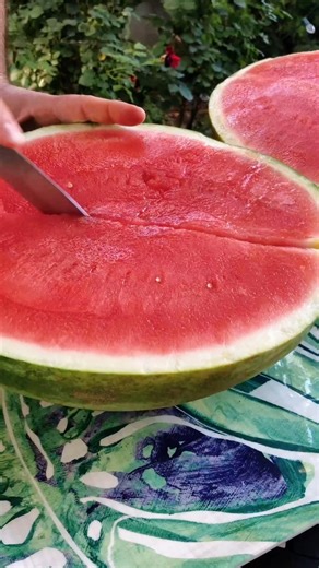 तरबूज और सेब की ये गलती कभी मत करना! 🛑 | Life-Saving Health Facts #shorts