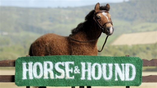 We can’t stop looking at these super realistic model equines – would you get your horse’s mini me made?