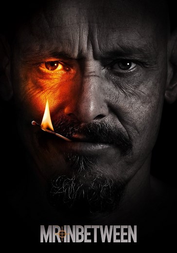 Où regarder la série Mr Inbetween en streaming