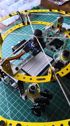 Neural Network Training bot, in progress...