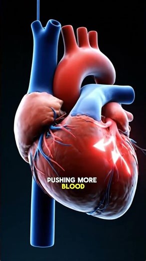 Why Your Heart Beats Faster During Exercise