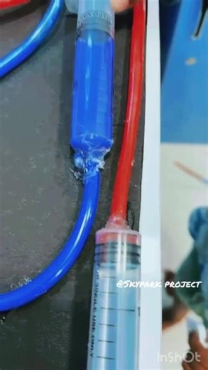 Human Heart 3D Model | Science Project for School | How the Heart Works | Biology Project