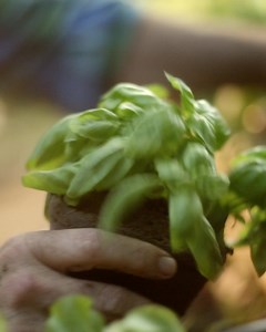 104K views · 393 reactions | Fight cancer with expert care, advanced treatments, clinical trials -- and the kind of treatment you can only get right here. | Texas Oncology | Facebook