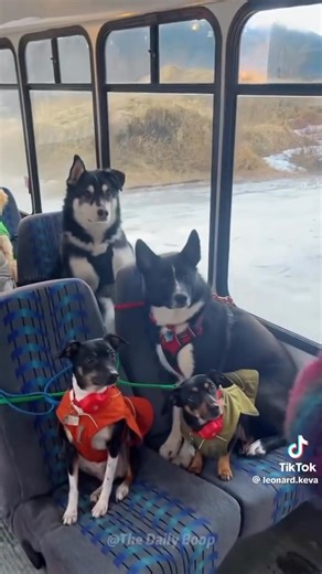 Debbie A. Cowman on Reels