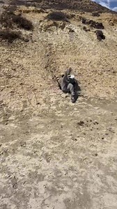 2.9M views · 3.9K reactions | Snake Attacks SherpaOn a recent trekking Adventure to the Mustang Region in Nepal I witnessed (or May have even been involved)in this snake encounter with our Head Sherpa, Poor guys is still recovering | The Outlet Homewares & Furniture | Facebook