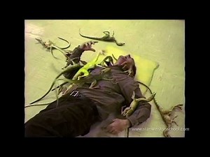 One of the remote-controlled Lost World dinosaurs actually bit an actor