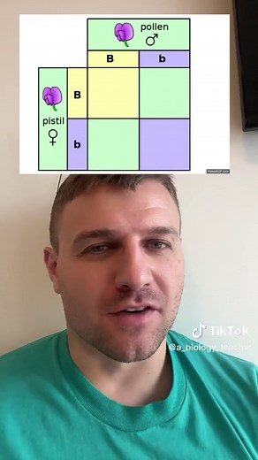 Understanding Punnett Squares: A Simple Tutorial