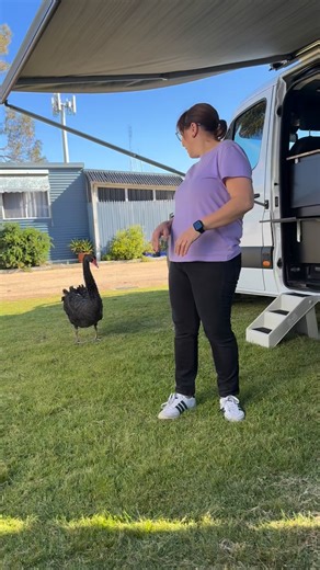 3.9K views · 29 reactions | We have arrived at Paynesville and the camper van is set up, check out this awesome rig! | Van Cruiser Caravans | Facebook
