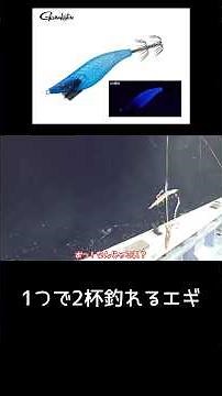 イカがエギを取り合って1つのエギで2杯釣れてしまいました！#イカメタル #オモリグ #fishing #釣り #ヤリイカ