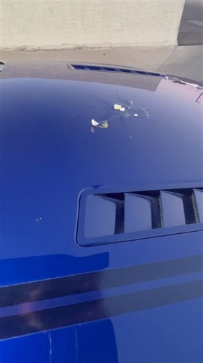 Car wash epic fail #fordmustang #harborfrieght #fyp