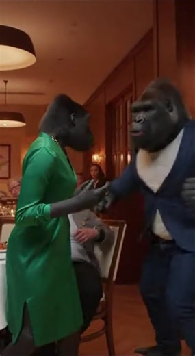 Gorillas fighting for a gorilla woman who cheated on one of them hahahaha🤣🤣