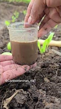 Homemade soil pH test: How to tell if your pH is acidic or alkaline? #garden #plants #agriculture