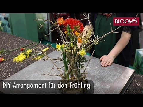 Arrangement für den Frühling | DIY Frühlingsdeko | spring decoration | BLOOM’s Floristik