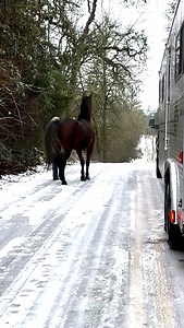 393K views · 9.2K reactions | Goodbye Sunny! This is bittersweet news...