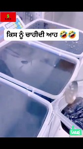 146K views · 462 reactions | ਆਜੋ ਫਿਰ ਜਿਸਨੂੰ ਚਾਹੀਦੀ藍藍藍 #fbpost2025シ #thursdaymotivation #thursday #photographychallenge #viralreelschallenge #reel #trendingreels | Sukh Deep Singh | Facebook