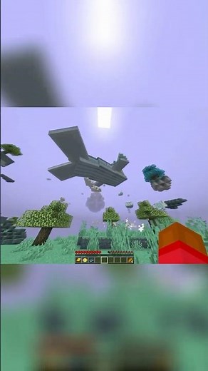 FLOATING WHALE IN MINECRAFT AETHER?!