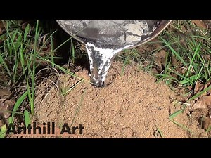 Casting Another Fire Ant Colony with Molten Aluminum (Cast #061)