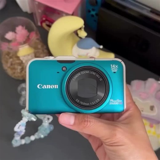 Canon PowerShot SX230 HS: The Perfect Beginner Camera