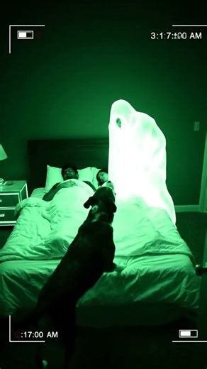 DOG SAVES HIS FAMILY FROM A GHOST
