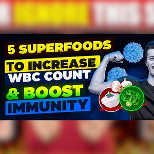 5 SUPERFOODS To Increase WBC Count & Boost Immunity #superfoods #wbccount #BoostImmunity #food #healthapta #healthtips #health | Healthapta