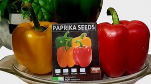 Exploring the Capsicum Annum Health Benefits and the Basics of Growing and Harvesting the Crop