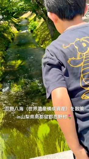 [Oshino Hakkai] ① A leisurely stroll through the World Heritage site of Oshino Hakkai 🌷 Oshino Vi...