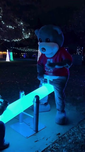 LED Circle Swings at Bright Lights Windsor