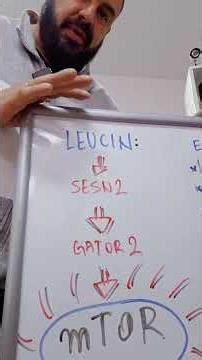 BCAA - EAA - LEUCIN - MTOR